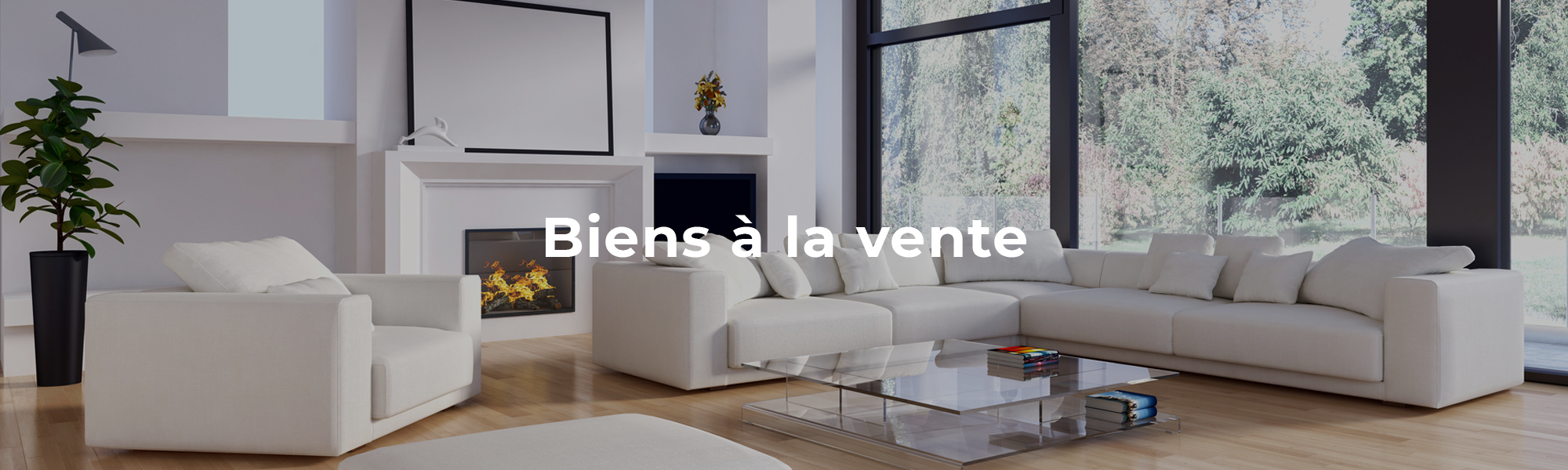 Annonces ventes immobilières